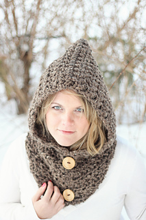 Brown_hood_2_resized_small2