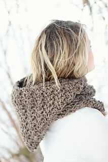 Brown_hood_4_resized_small2