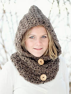 Brown_hood_6_resized_small2
