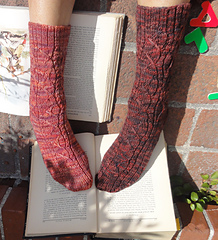 Bothsocksfront01a_small