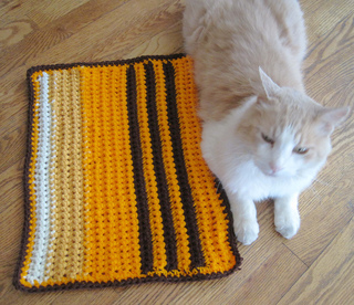 Andrew_with_cushy_pet_pad_gold_2_small2