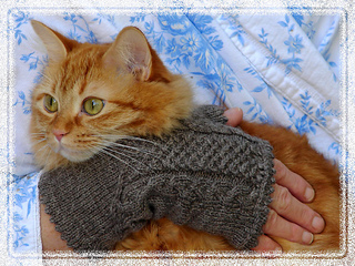 Dsc00011_small2