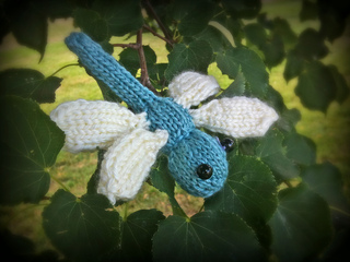 Dragonfly6edited_small2