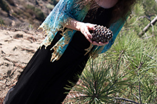 Torreyana_-_15_-_hanspun_with_pinecone_diagonal_small2