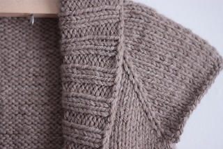 Arlo_raglandetail_small2