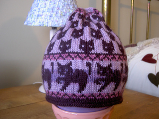 Cat_hat_2_small2