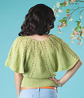 Ct22_lanternpullover_back_small2