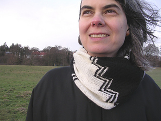 Bw-cowl-1-x_small2