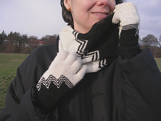 Bw-cowl-0_small2