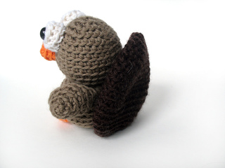Tinyturkeyback_small2