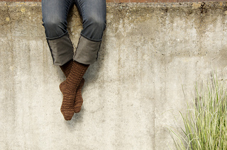 Shibui-socks-ankeny-1_small2