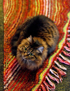 Dsc_4677_small2