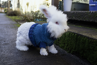 20130125_0008_small2