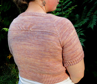 Back_small2