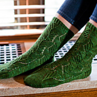Narcissus_pseudonarcissus_socks_small2