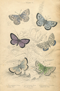 4_small2