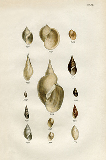 Bmfa_print_small2
