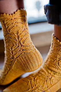 Cf_socks_2_small2