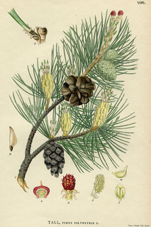 4print_small2