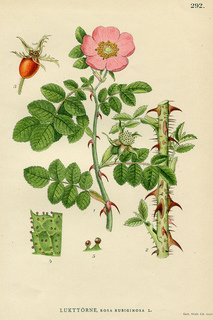 5print_small2