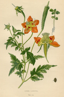 9print_small2