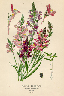 10print_small2