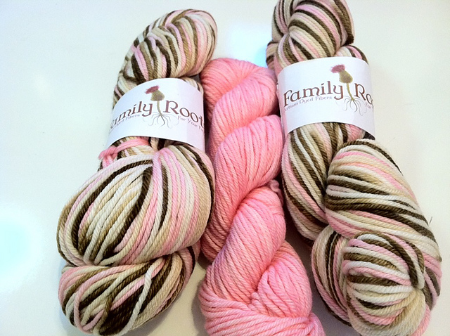 Family Roots Kona Superwash Worsted