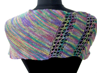 P134_back_small2