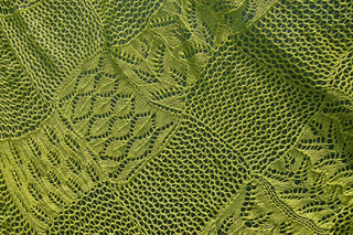 Fm_tarp1_k_small2