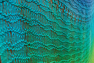 Fallmaschen10_k_small2