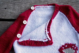 Mushroom-sweater_small2