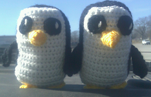 Imag0307-1_medium