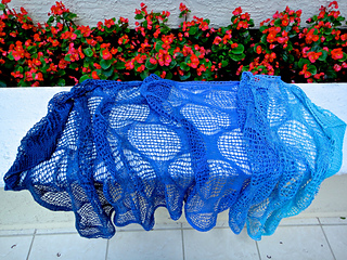 Camino_bubbles5_small2