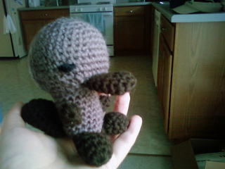 Platypus_2_small2
