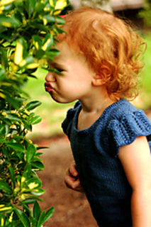 Smell_the_flowers_small2