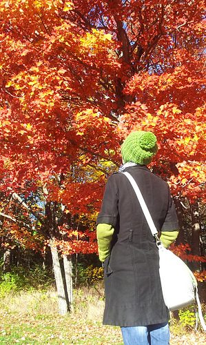 20121017_095700_medium