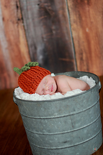 Kayceepumpkins2_small2