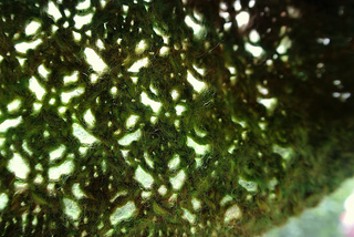 047_small2