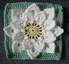 Croco-dahlia_for_sibol_small