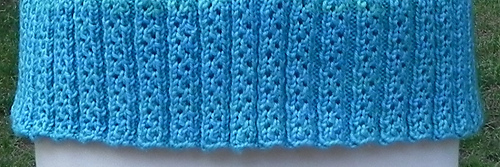 Dscn1645ribbing_medium
