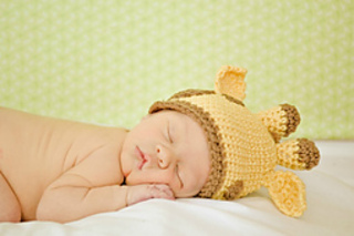 Dsc_0029_small2