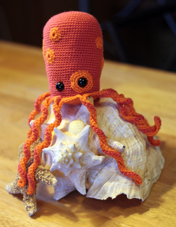 Octo1_small2