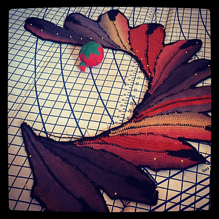 Monarch2_small2