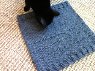 Morse_cat_small2