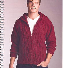 Hunky_man_hoody__howb_small