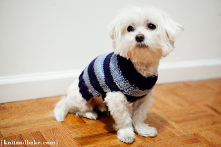 0webimg_1116_small2