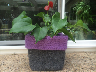 Image_small2