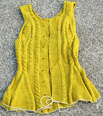 Maizefrontnosleeves_small