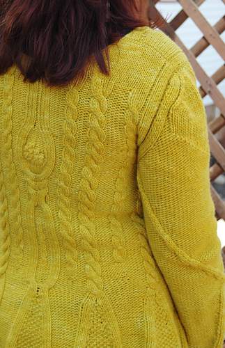 Maize-back_medium