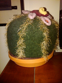 Img00047-20100126-2217_small2